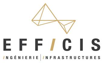LOGO_EFFICIS