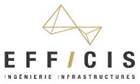 LOGO_EFFICIS